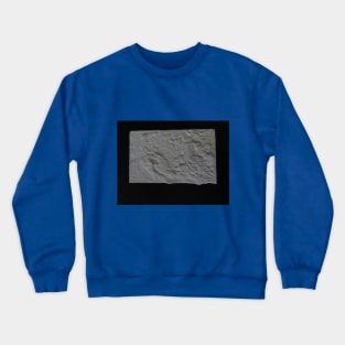 Detail - 39 Crewneck Sweatshirt